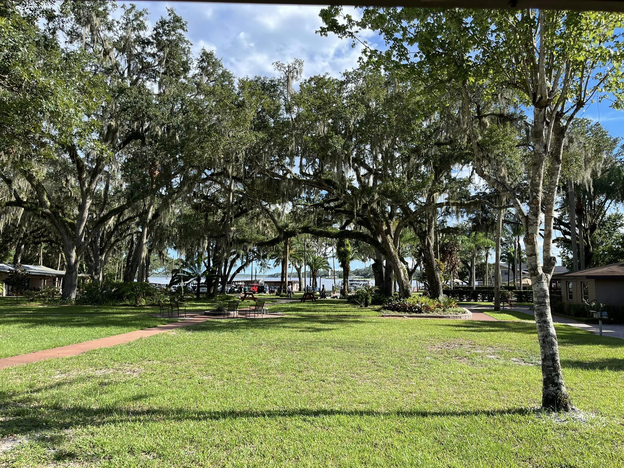 A park with large trees and a body of water in the background.