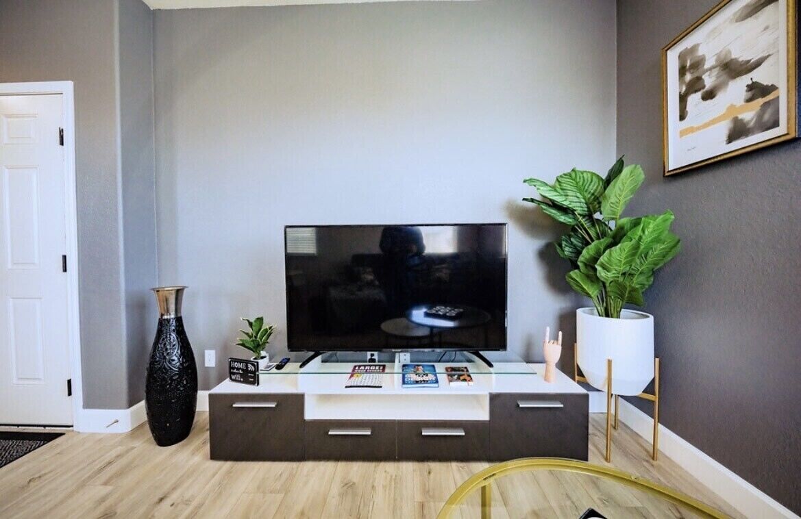 A modern living room with a flat-screen TV on a glass-top console, a potted plant, and a framed picture on the wall.