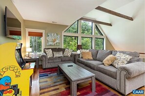 Älytelevisio, takka, videopelejä, kirjoja