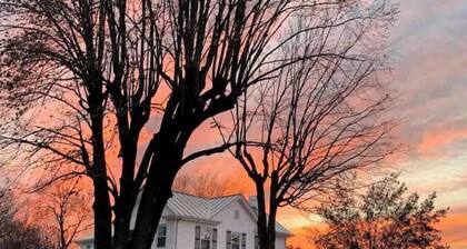 Sycamore Suite ~ 1 of 5 Unique Stays at Basswood