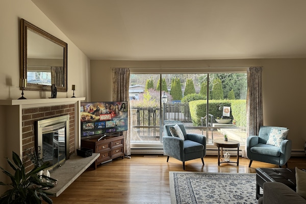 Smart-tv, pejs, videospil, bøger