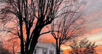 Sassafras Suite ~ 1 of 5 Unique Stays at Basswood