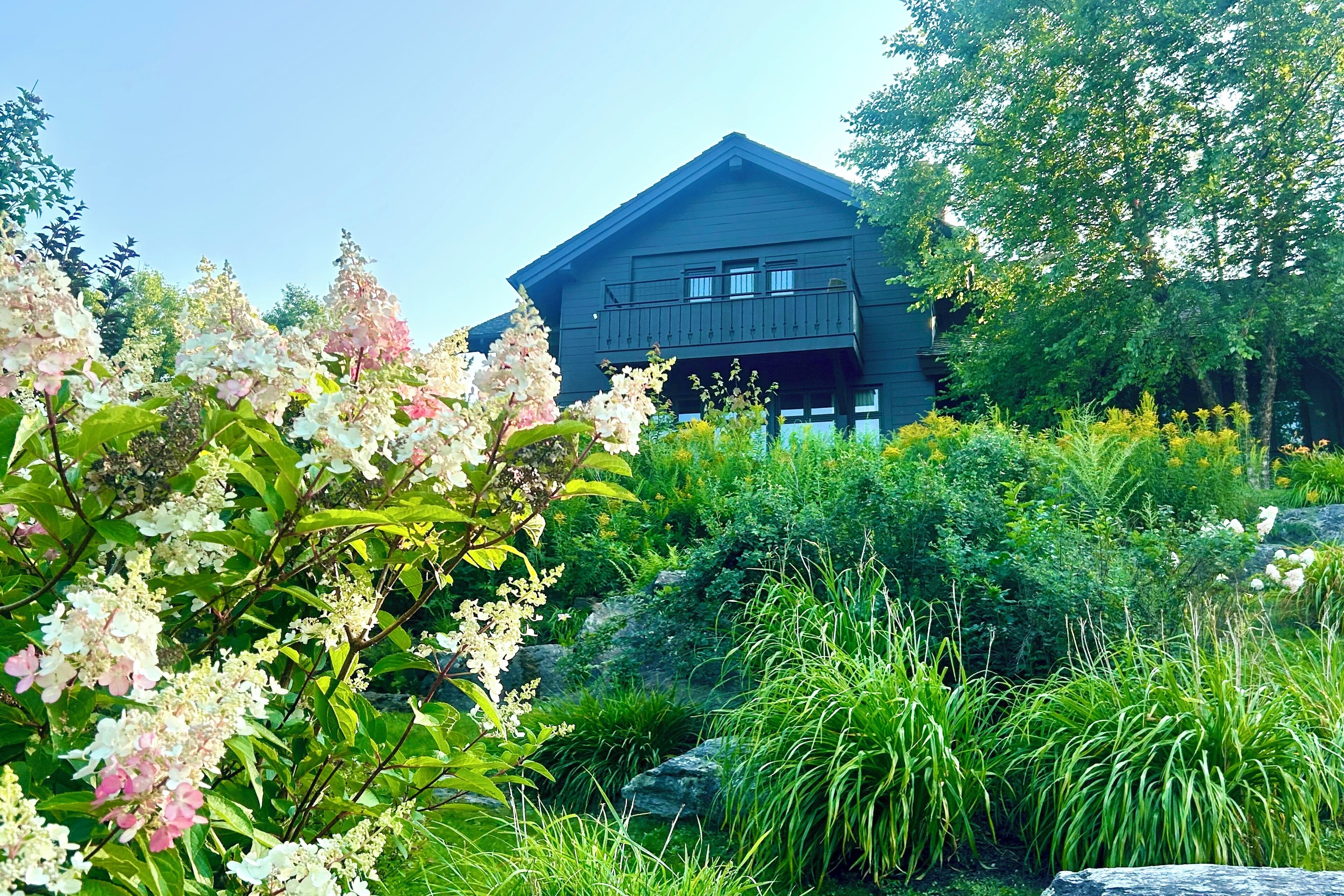 A dark wooden house with a balcony, surrounded by lush greenery and flowering plants.