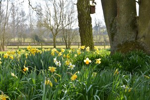 村舍 | 住宿内部