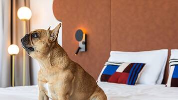 Un perro sentado en una cama con un cabecero moderno y almohadones decorativos.