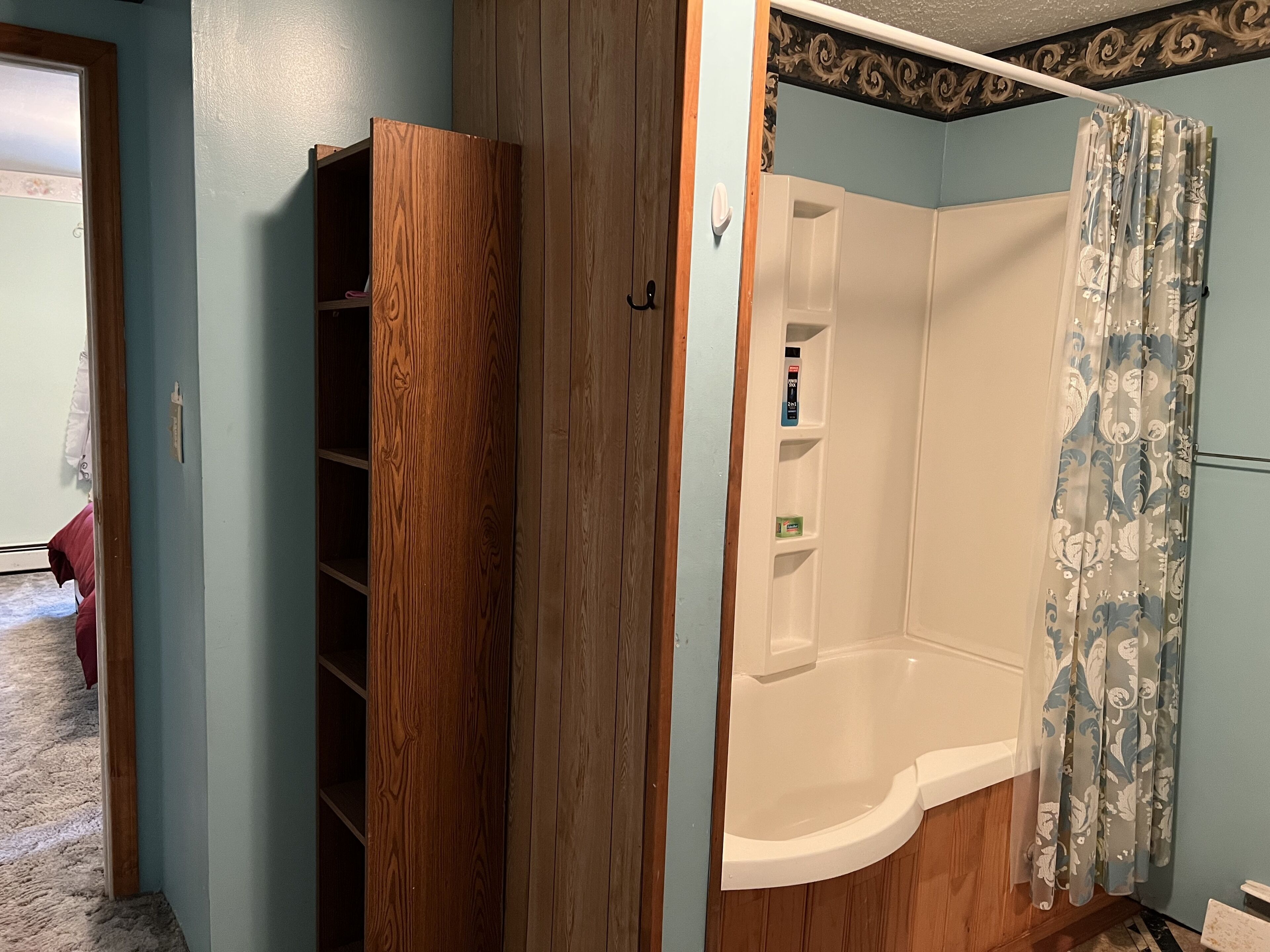 Bathtub, hair dryer, toilet paper