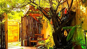 A garden with a wooden gate, a bench, and various plants. - Casa dAroeira - Condomínio Residencial de Flats (São Sebastião)