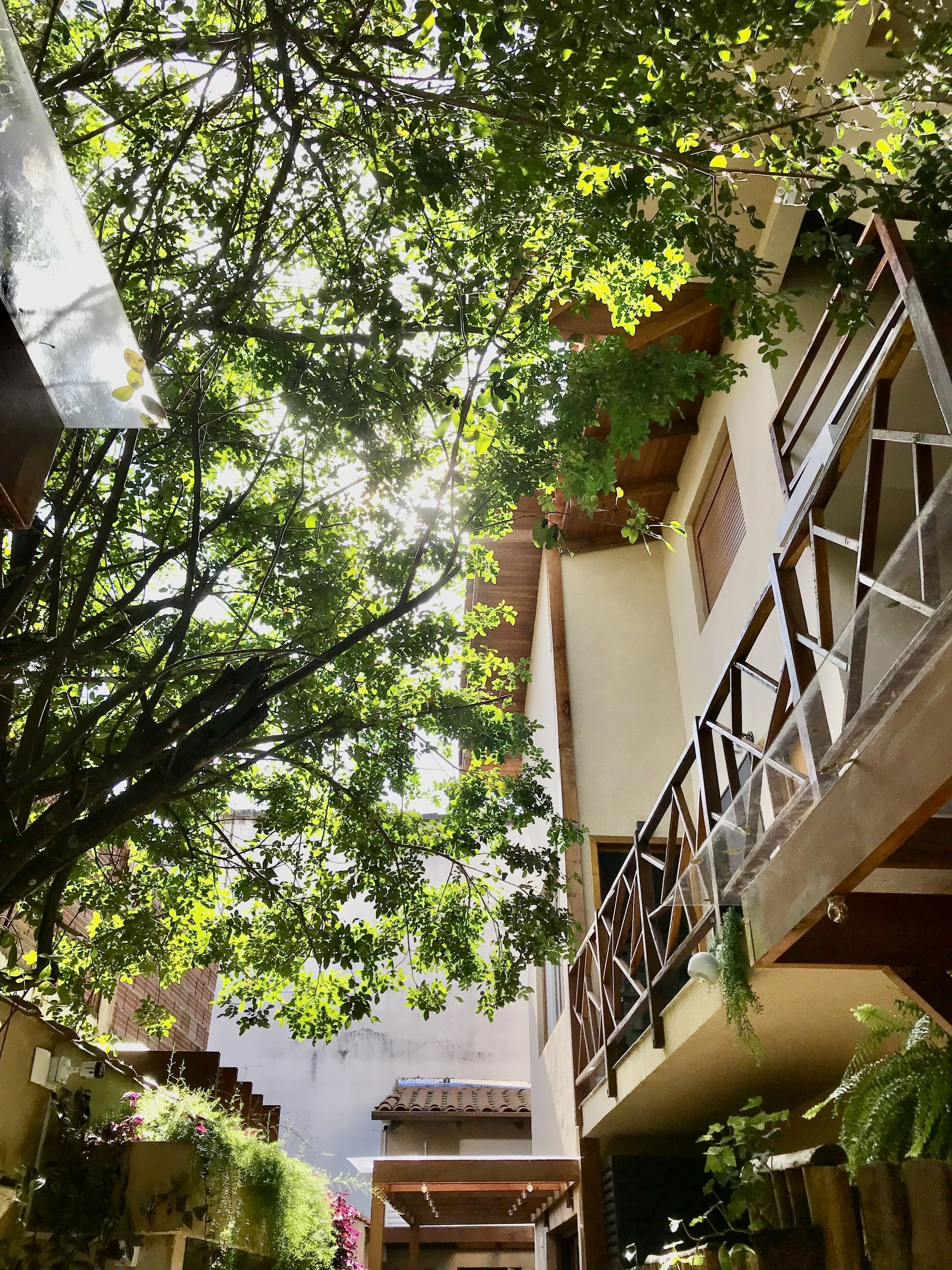A narrow alleyway with buildings on either side, a staircase, and a tree with green leaves.