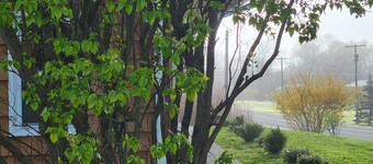 Gedney House Apt. 2: Only 8 minutes to Bethel Woods! Newly remodeled!