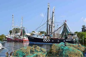 Port de plaisance