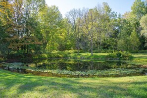 Terrain de l’hébergement 