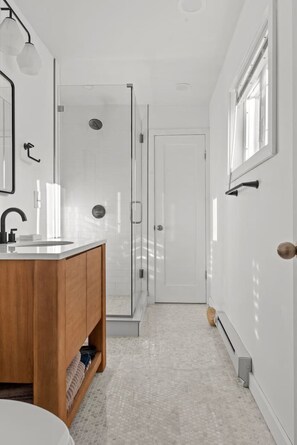 Shower, hair dryer