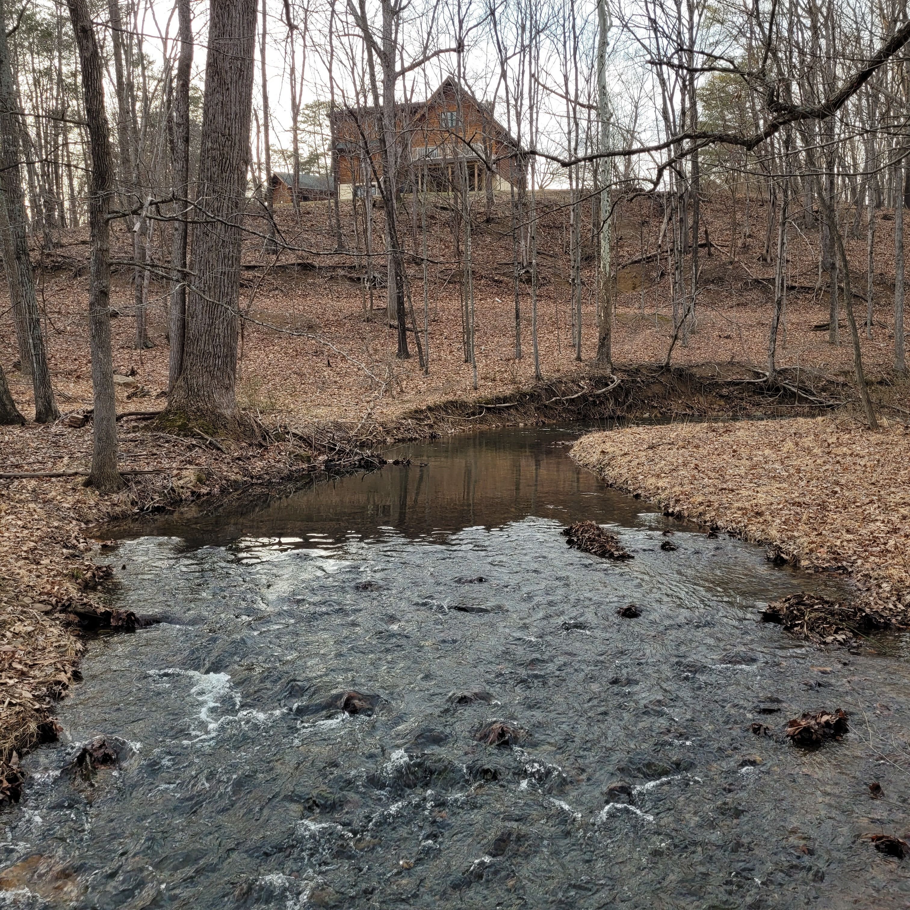 A natural setting with a small stream, surrounded by trees and a distant house.