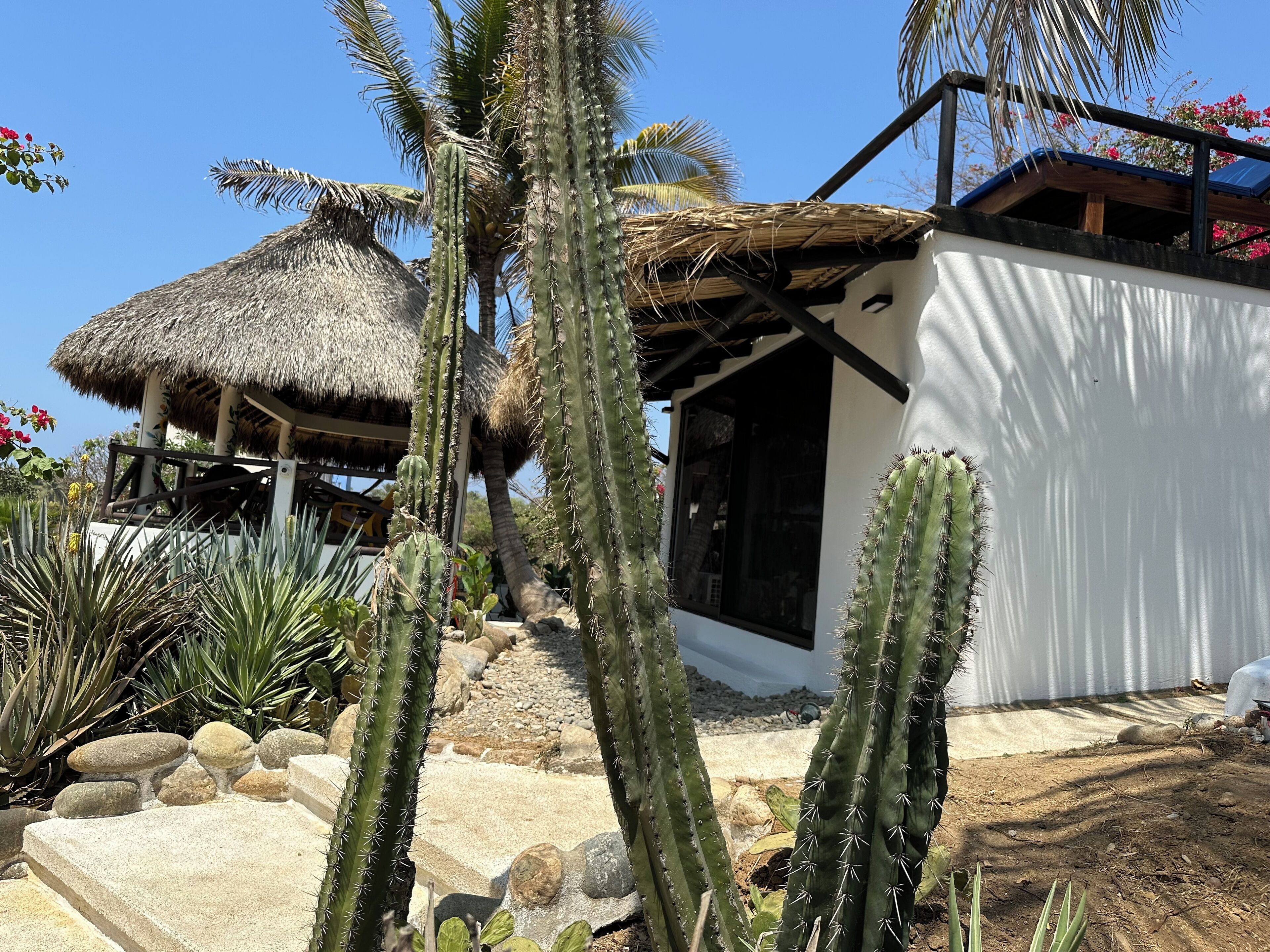 A thatched-roof structure with a white building adjacent to it, surrounded by cacti and rocks.