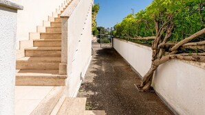 A narrow pathway leading to a gate, flanked by a white wall and a tree-lined area.