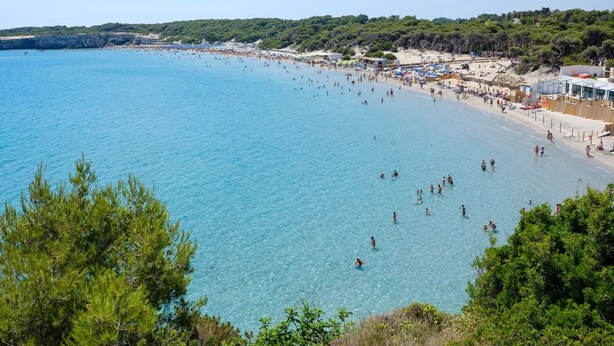 A coastal beach with clear blue water, sandy shore, and lush greenery in the background.
