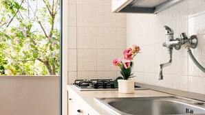 A modern kitchen with a gas stove, stainless steel sink, and a window overlooking a tree.