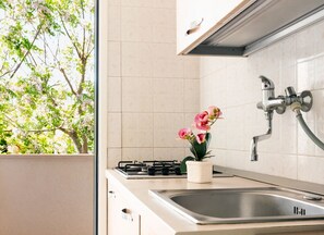 Fridge, microwave, oven, stovetop