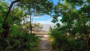 Un sendero de madera que lleva a una playa, rodeado de abundante vegetación y árboles.
