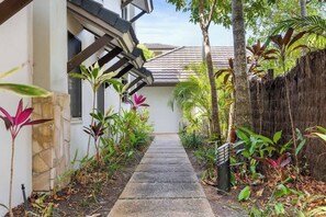 A narrow pathway leading to a house with a stone wall and a wooden pergola.