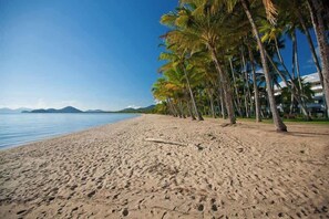 A beach with palm trees and a clear sky.