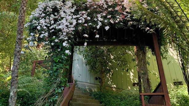 A wooden staircase leading to a covered entrance with a white door, surrounded by lush greenery and flowering plants. - Water view (Mill Valley)