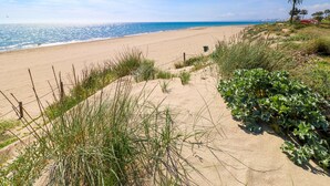 Een zandstrand met een heldere lucht, een hek en wat groen.