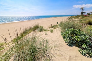 Plage, chaises longues