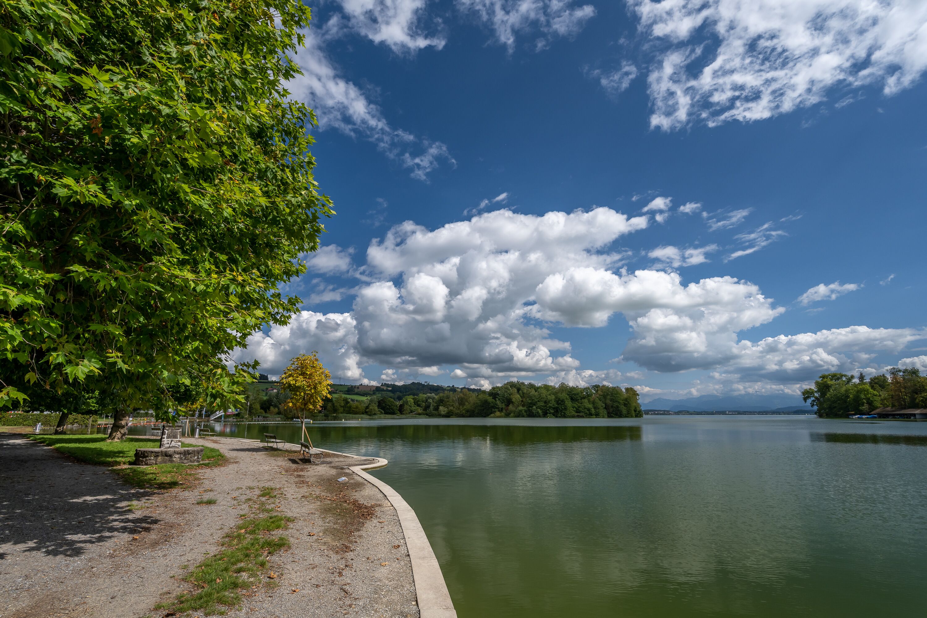 A lakeside park with a walking path, benches, and a view of the lake and distant hills.