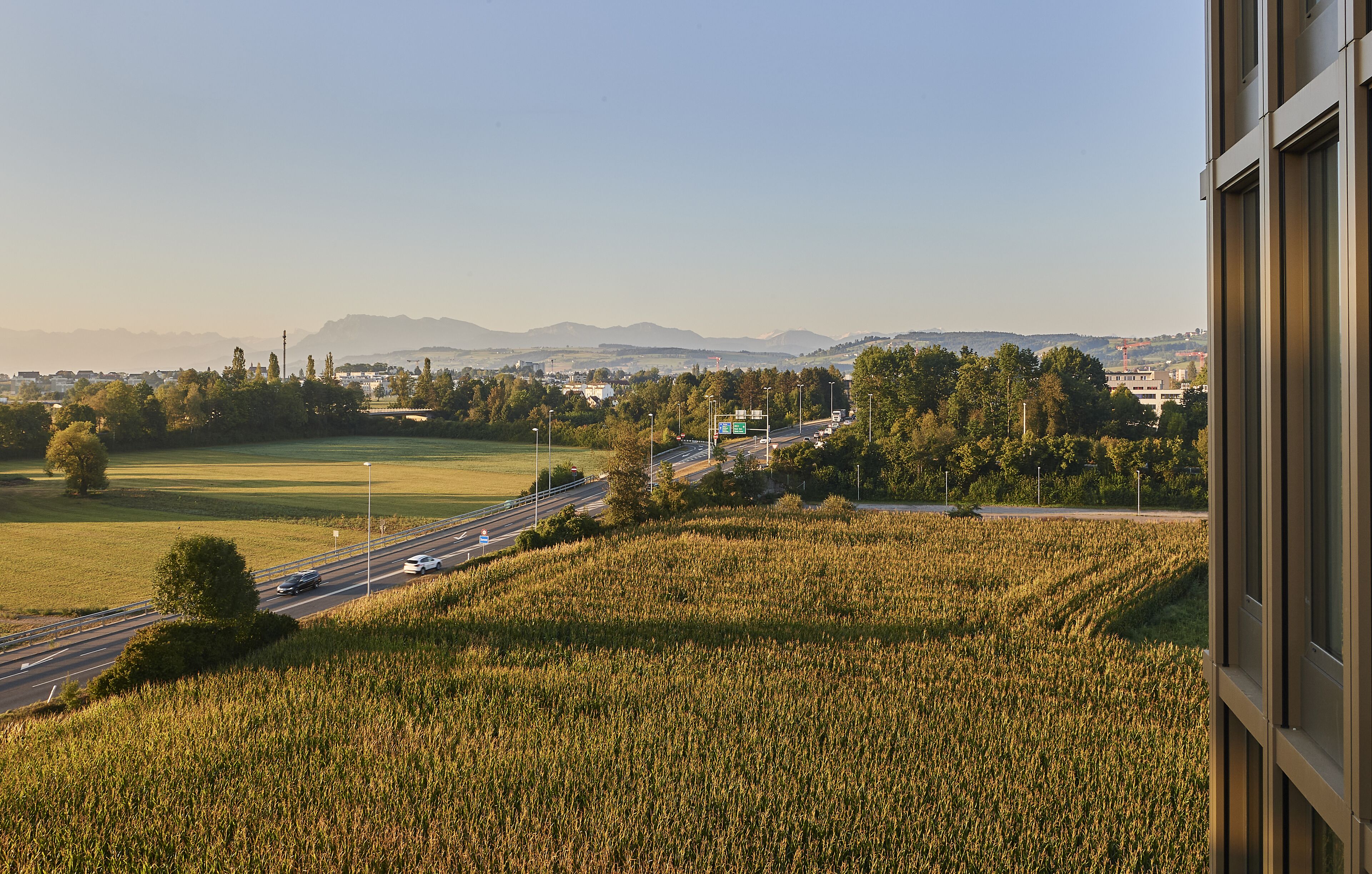 Vista de una carretera con vehículos, un campo y edificios a lo lejos.
