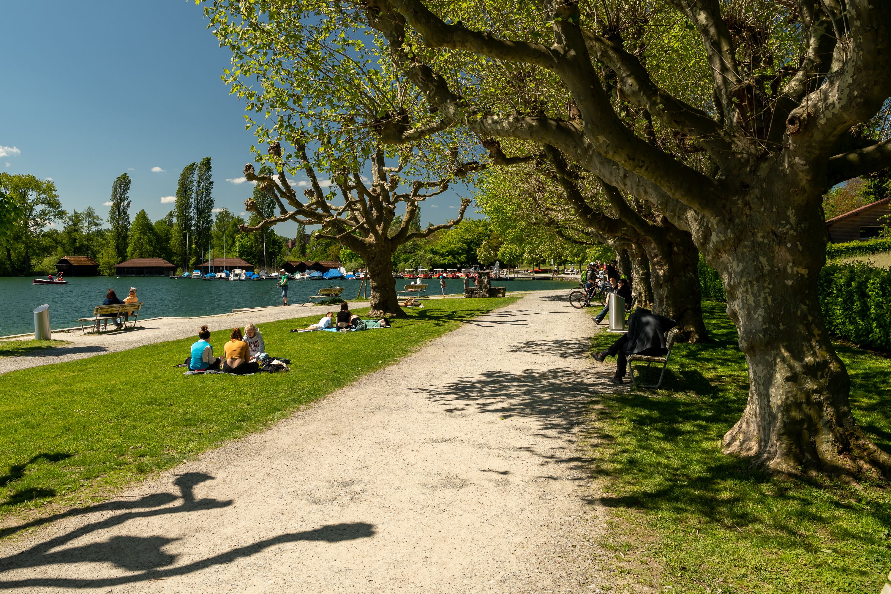 A park with a dirt path, benches, and people sitting on the grass.
