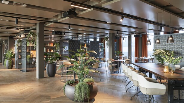 A spacious, modern interior with wooden flooring, large potted plants, and a long dining table with chairs. - Lumen Apartments (Schenkon)