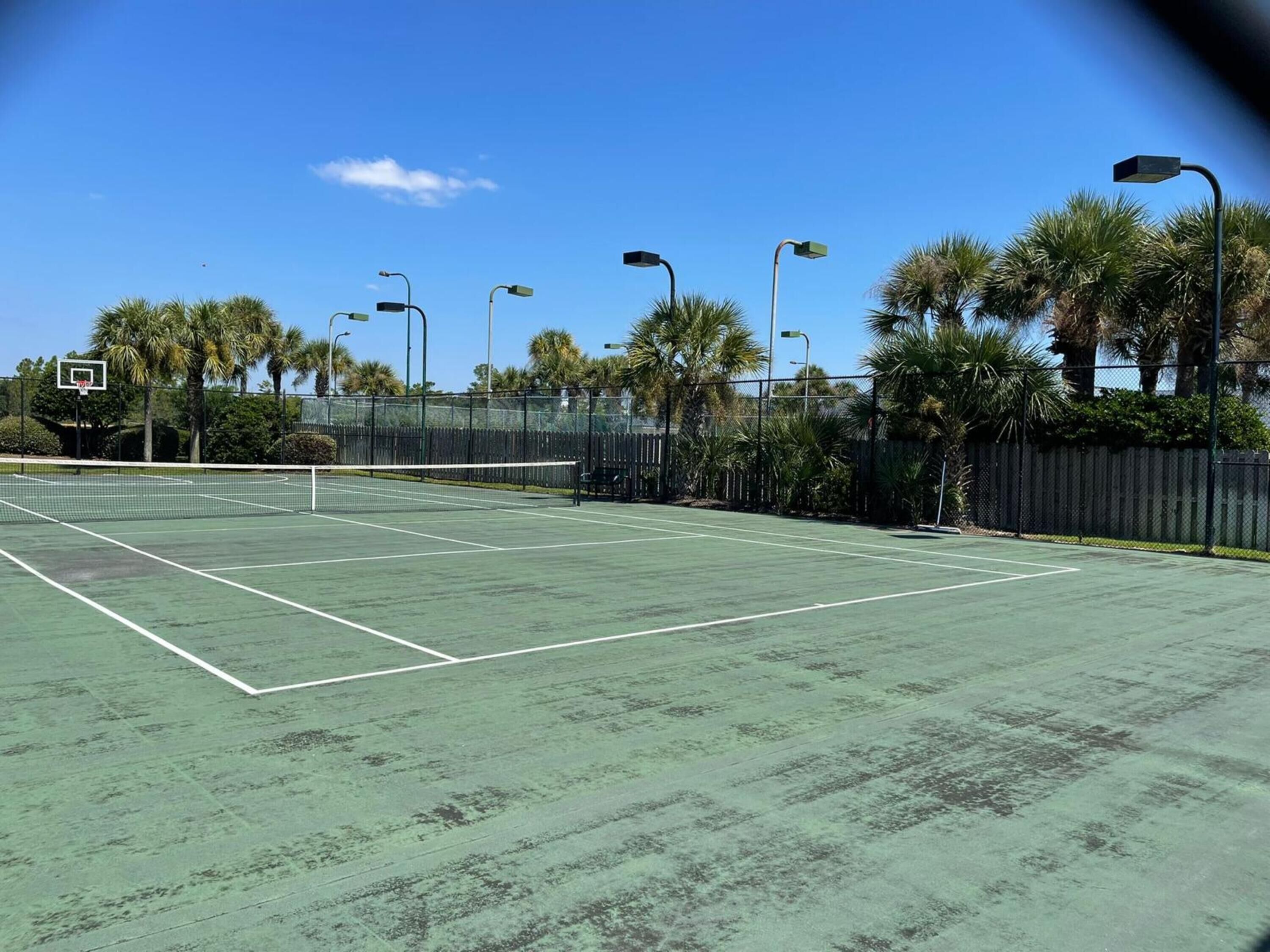 An outdoor tennis court with a basketball hoop, surrounded by palm trees and street lamps.