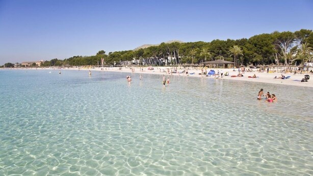 A beach with clear shallow water, people swimming and sunbathing, and a backdrop of trees and buildings.