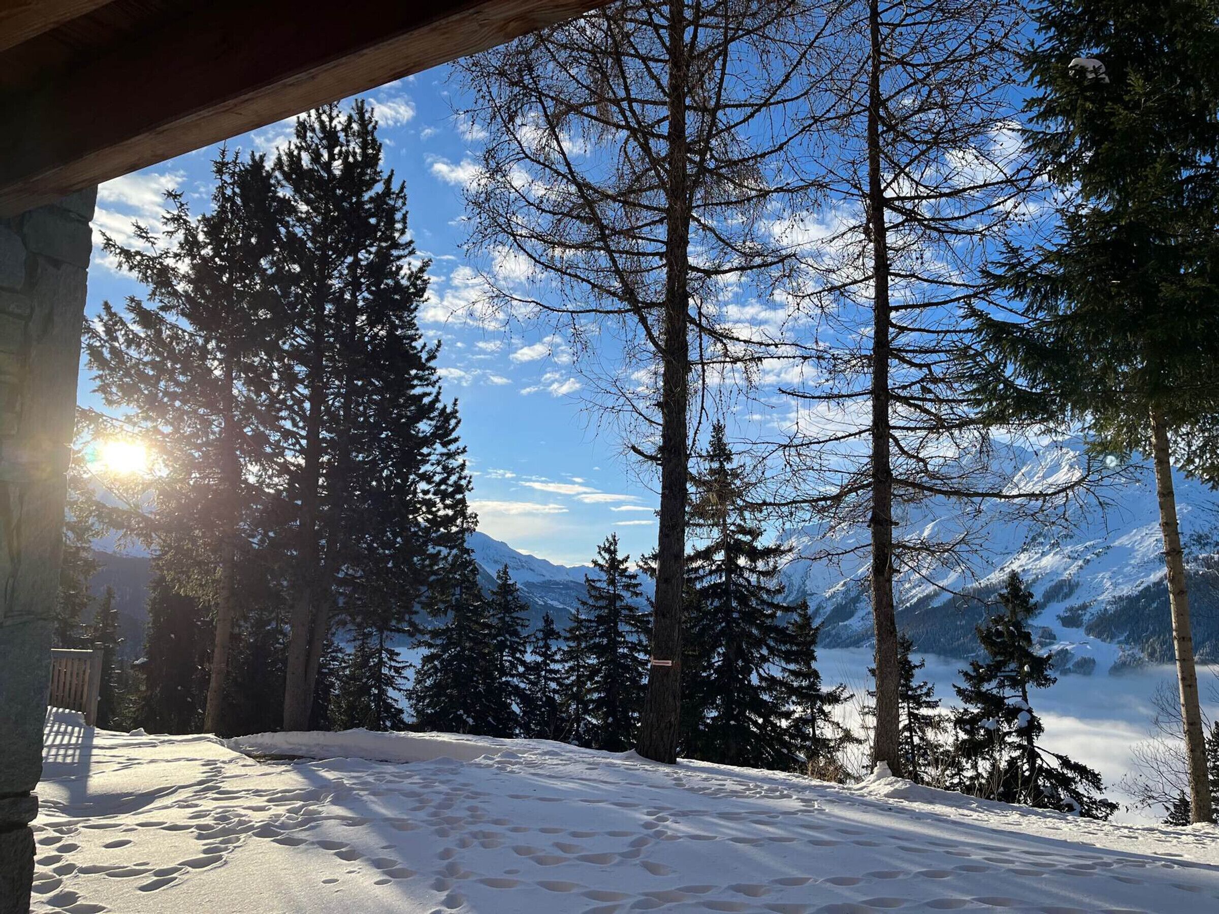 Un paysage enneigé, avec de grands arbres et des montagnes en arrière-plan.