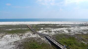 Condo, 2 Bedrooms | Beach | On the beach