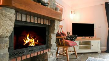 TV, fireplace, DVD player