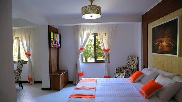 A hotel room with a large bed, a television on the wall, and a window with curtains. - Abat Guest House (Addis Ababa)