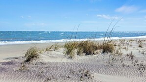 A sandy beach with sparse vegetation and a clear blue sky. - Oceanfront Condo in WILD DUNES! Fully Renovated with Rooftop Balcony! (Isle Of Palms)