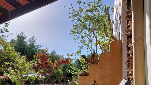 A breakfast tray with fruits, pastries, and orange juice on a table outdoors with a garden view.