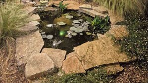 A nighttime garden with a pond, rocks, and plants.