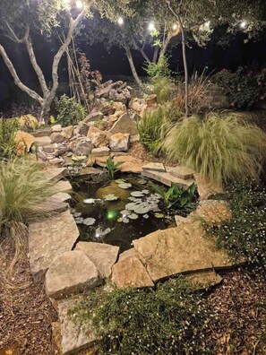 Ein Garten bei Nacht mit Teich, Steinen und Pflanzen.