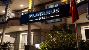 Une enseigne d'hôtel portant le nom « HÔTEL PLATANUS » et un drapeau.