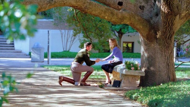 Um homem fazendo um pedido de casamento para uma mulher sob uma grande árvore em um parque.