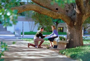 Un homme fait sa demande en mariage à une femme, sous un grand arbre, dans un cadre qui ressemble à un parc.