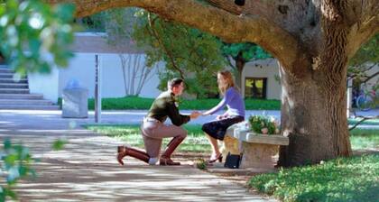 Charming Lodging! High-Quality Hospitality! (D)