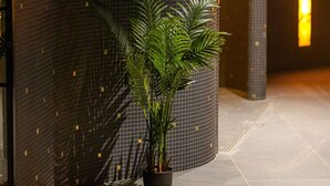 A hallway with a tiled wall, a potted plant, and a bright light source. - VICTORIA Hotel Klaipėda (Klaipeda)