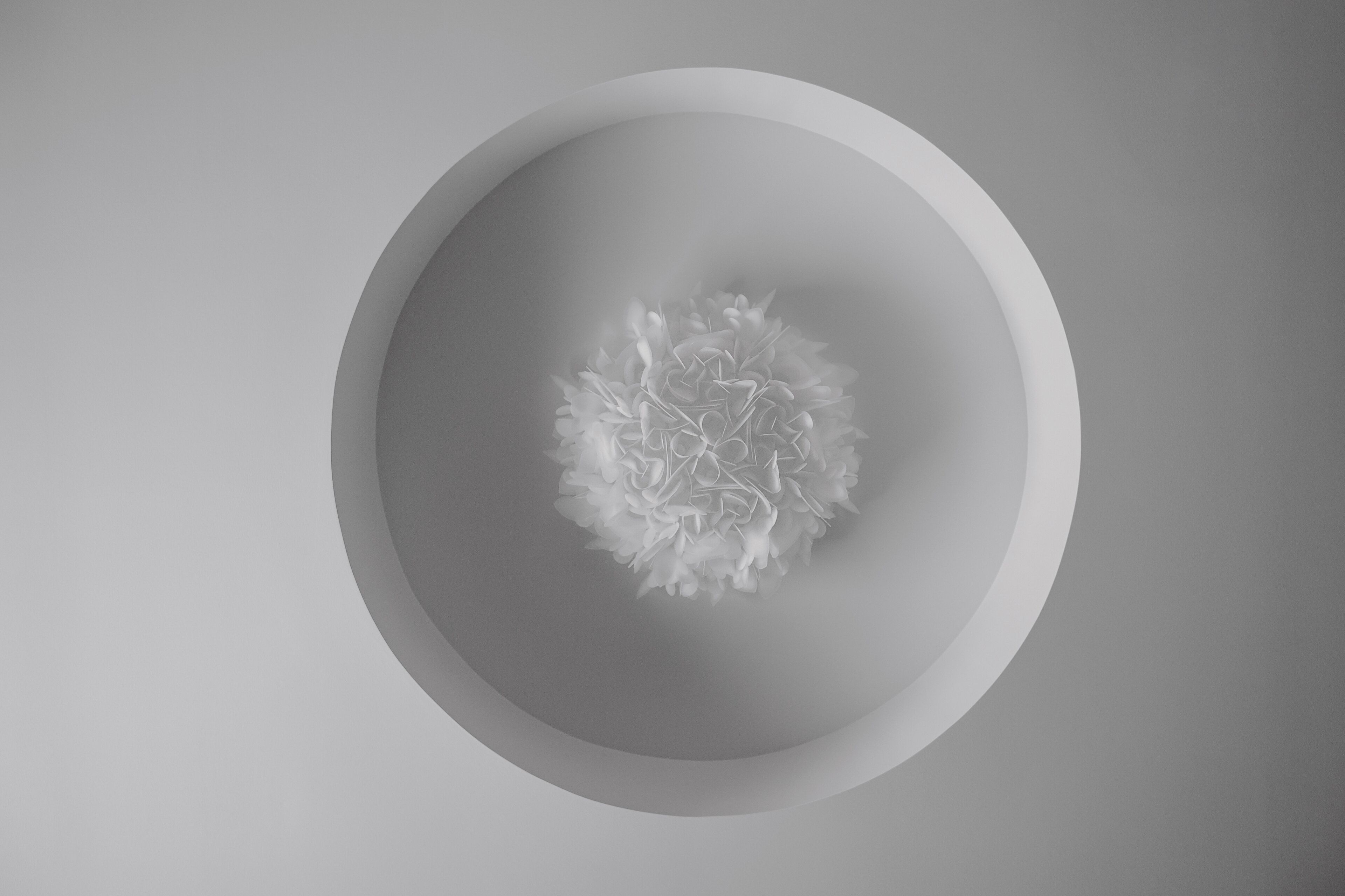 A minimalist, circular ceiling design with a central floral pattern.
