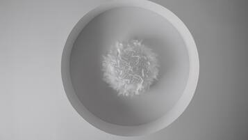 A minimalist, circular ceiling design with a central floral pattern.