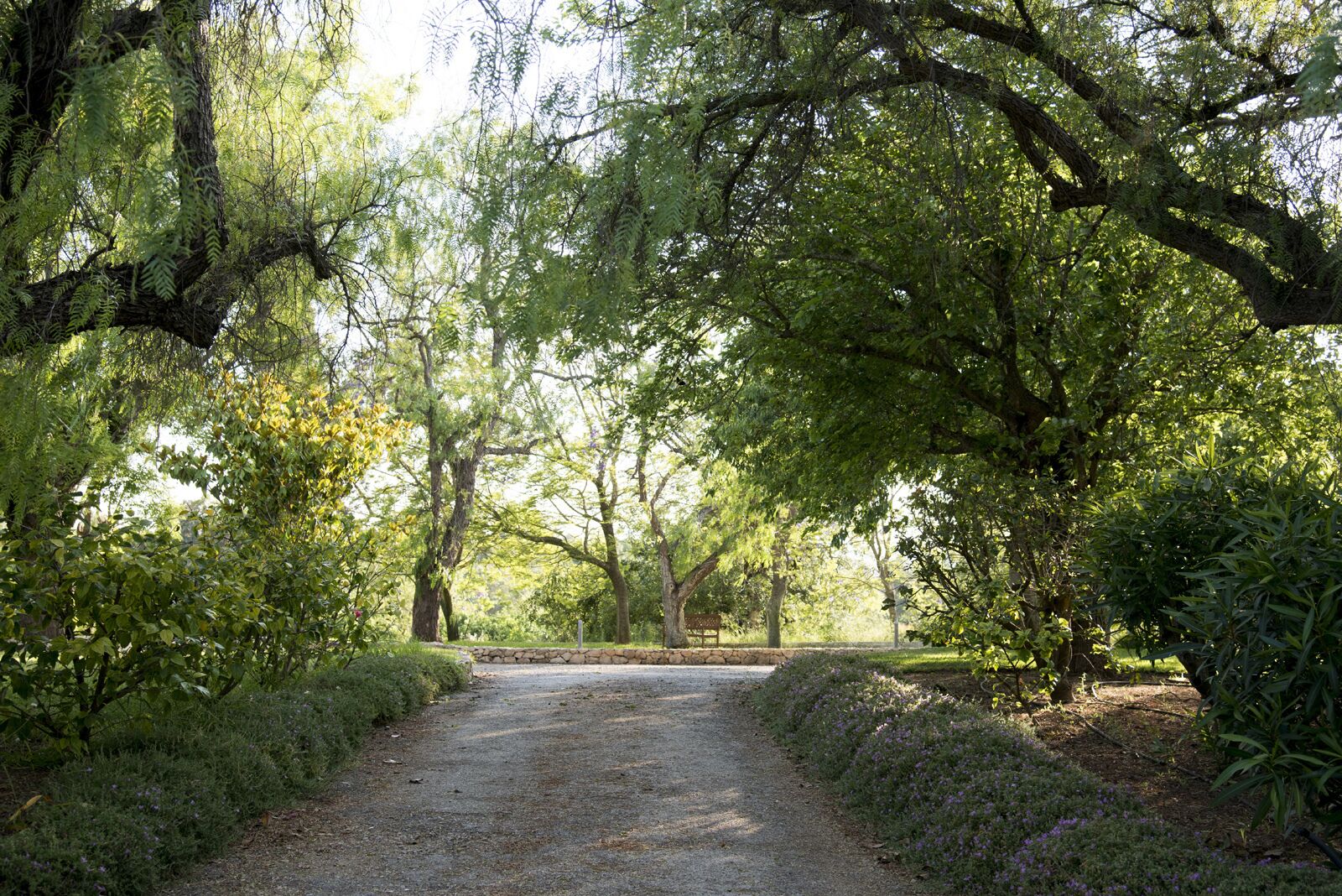 Photo - Quinta da Donalda